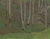 1960s 1960s Impressionism Forest Oil Painting, Ukrainian Art, 1966 46,5-60 For Sale - Image 5 of 6