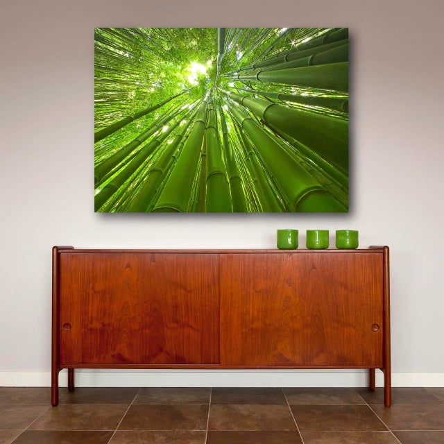 BAMBOO © George Diebold The Island of Maui, Hawaii “Imagine a forest of one-hundred foot bamboo so dense that in the...