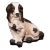 1900s Victorian Antique Cocker Spaniel Statue, English, Plasterwork, Dog Figure For Sale
