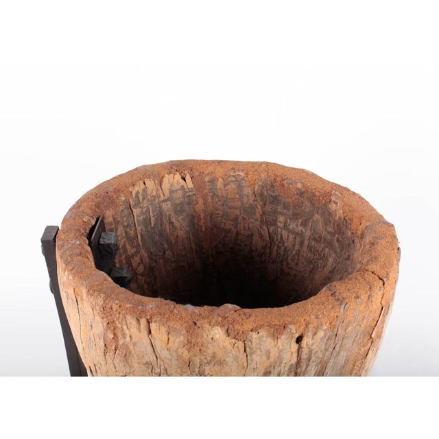 Antique Hand Carved Wood Mortar on Display Stand For Sale - Image 16 of 17