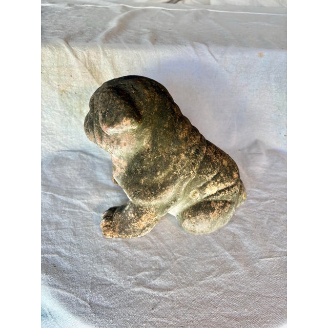 Early 20th Century Early 20th Century French Terracotta Bulldog Garden Sculpture For Sale - Image 5 of 13