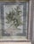 Decorative Panel with Framed Botanical Composition, 1920s For Sale - Image 3 of 14