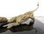 1970s Bronze Jaguar Coffee Table by Nicola Voci, 1970s For Sale - Image 5 of 15
