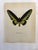 Up for sale is this gorgeous lithograph by F. Prochazka, published in Great Britain in 1965. It is in excellent, gently-...