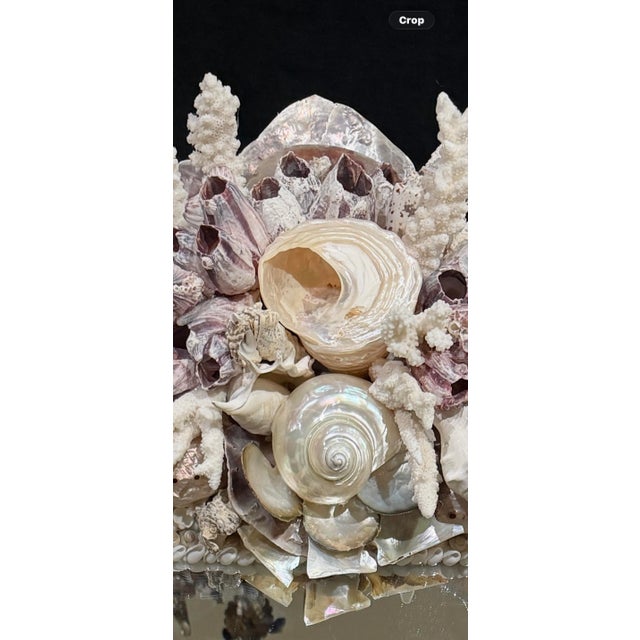 Lavish shell decoration applied with an emphasis on volume and depth. Barnacles and turbo shells are the main elements....