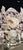 Lavish shell decoration applied with an emphasis on volume and depth. Barnacles and turbo shells are the main elements....