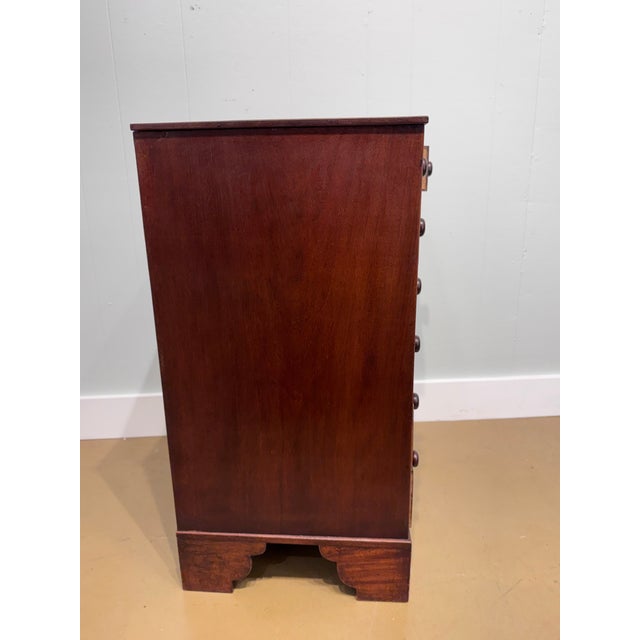 19th Century Chest of Drawers With Botanical Species For Sale - Image 4 of 11