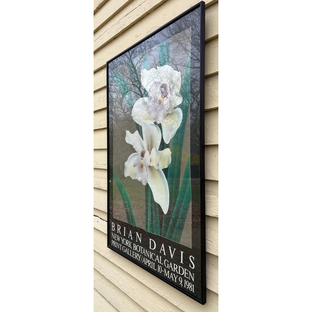 Black Brian Davis Poster Framed Cymbidium v New York Botanical Garden Art Exhibition For Sale - Image 8 of 8