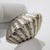 Silver Vintage Italian Handmade Silver Shell Shaped Box, 1970s For Sale - Image 8 of 14