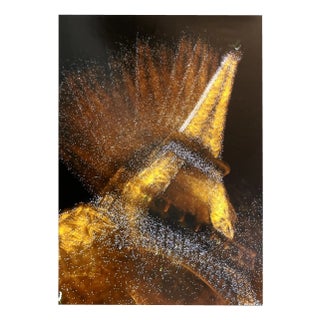 Apesteguy, Champagne, 2000s, Photographic Paper For Sale