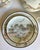 1970s Japanese Hand-Painted Eggshell Porcelain Landscape Luncheon Tea Set - 36 Pieces For Sale - Image 16 of 17
