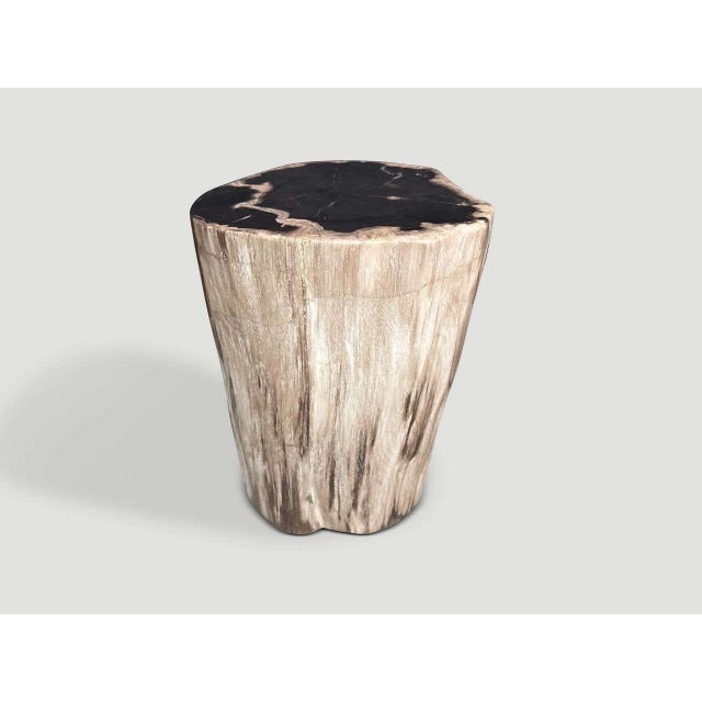 2010s Andrianna Shamaris Modern Organic High Quality Petrified Wood Side Table For Sale - Image 5 of 5