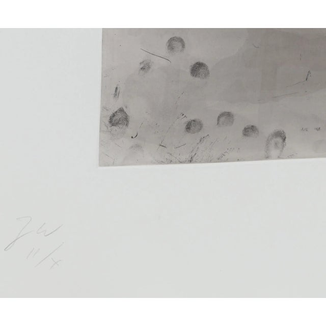 Artist: Terry Winters, American (1949 - ) Title: 5 from Album Year: 1988 Medium: Etching with Aquatint, signed and...