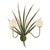 The Pompano: an angular open steel framework in a wall-mounted form. The composition reads as functional object and...