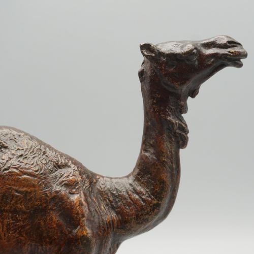Franz Bergman, Dromedary, 1890s, Bronze For Sale - Image 5 of 10