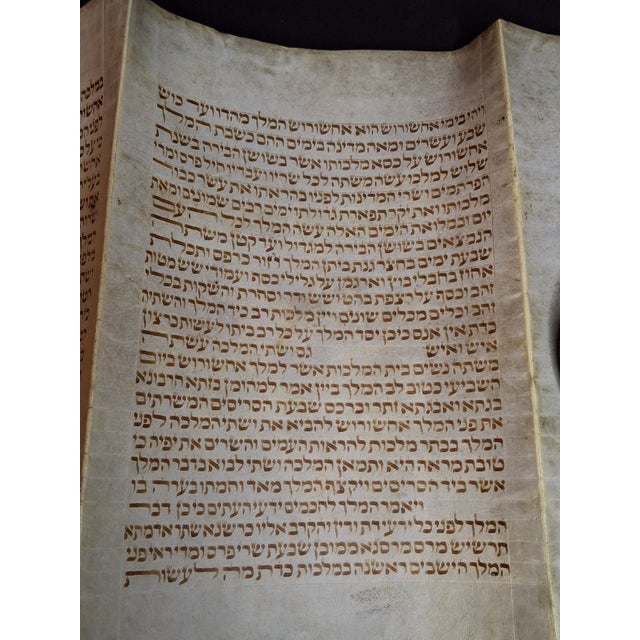 White Antique 19th C Megillat Esther Parchment Scroll Ashkenazi Script Wood Roller For Sale - Image 8 of 17