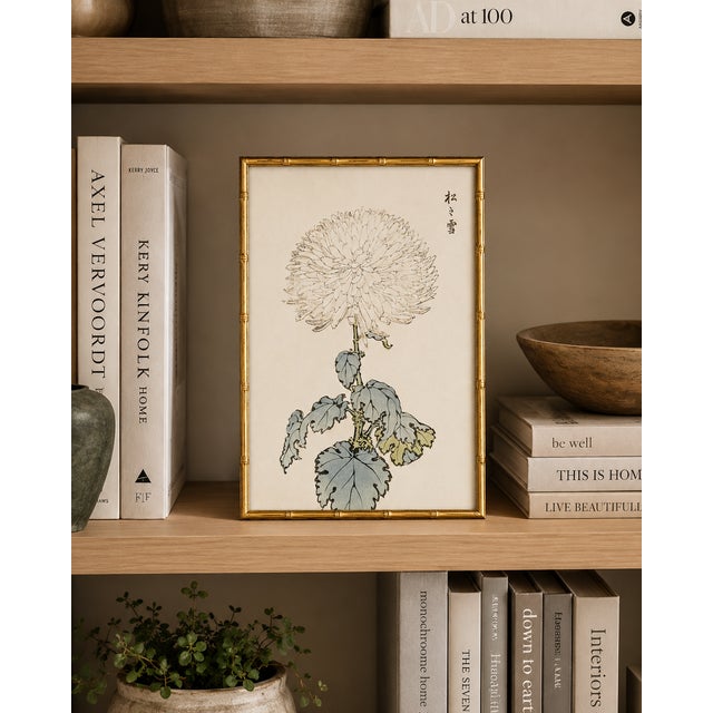 Paper White Chrysanthemum by Hasegawa, Vintage Japanese Botanical Art Print, 8" X 12" For Sale - Image 7 of 8