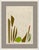 Susan Hable is a renowned artist and designer based in Athens, Georgia, known for her bold and colorful works. Co-founder...