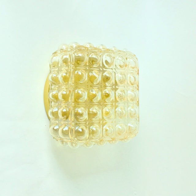 Glashütte Limburg 1970s Mid-Century Modern Amber Bubble Glass Wall Light by Helena Tynell for Limburg, Germany For Sale - Image 4 of 9