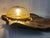 Monumental Sculptural Bronze Wall Lamp 1960s For Sale - Image 9 of 17
