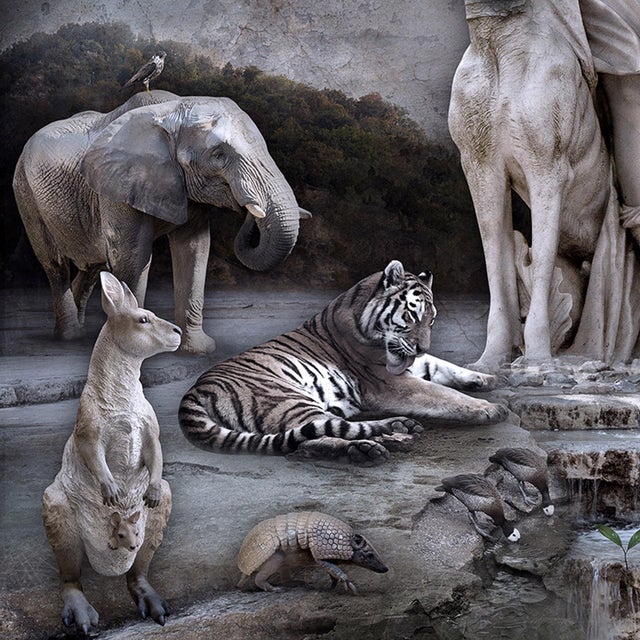 Contemporary Queen of the Forest by Marcin Owczarek | Photography of a fantastical forest scene with animals For Sale - Image 3 of 4