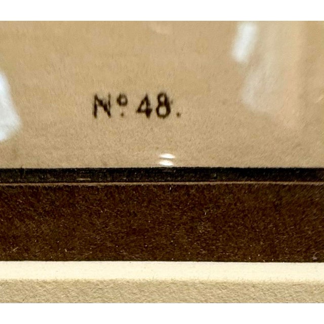 1860s Hand-Colored McKenney & Hall Lithograph "A-Na-Cam-E-Gish-Ca" – Turtle and Cra For Sale - Image 10 of 12