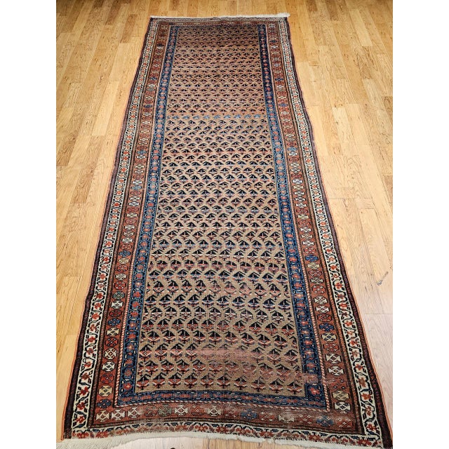 "This superb early 20th-century Kurdish Bidjar rug is an exceptional example of one of Persia’s most durable and visually...