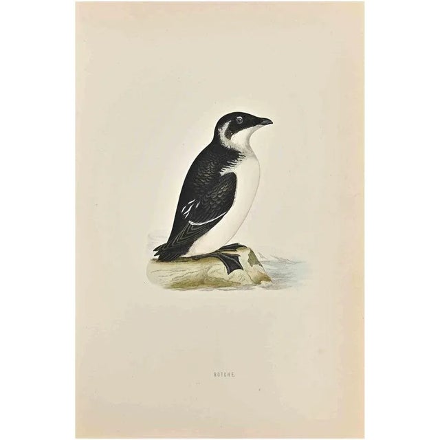 Rotche is a modern artwork realized in 1870 by the British artist Alexander Francis Lydon (1836-1917). Woodcut print on...