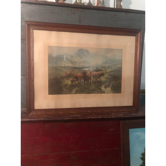 Wood Scottish Cattle Framed Print For Sale - Image 7 of 7