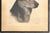 Limited Edition Bert Cobb Signed Drypoint Etching German Shepherd Luchs 33 of 75 For Sale In Portland, ME - Image 6 of 12