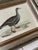 Traditional Framed 18th Century Geese Engravings For Sale - Image 3 of 3