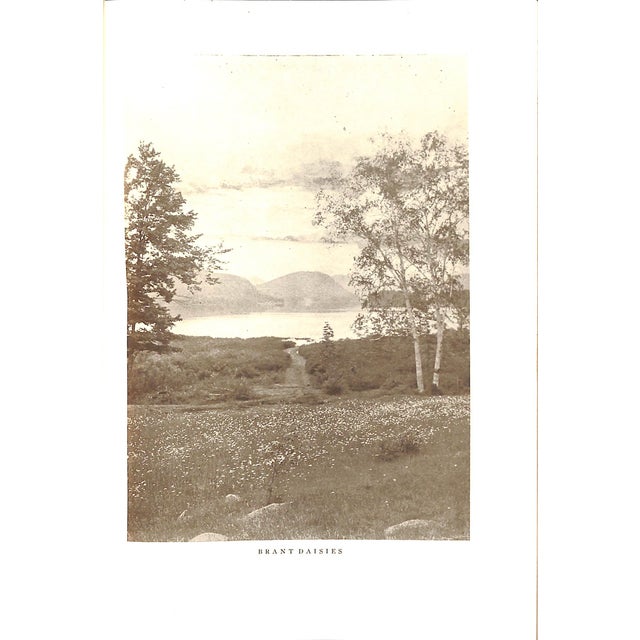 "New York Beautiful" 1936 Nutting, Wallace For Sale - Image 10 of 12