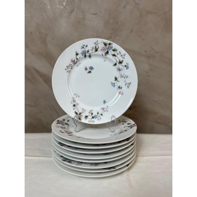 1900 - 1909 Dinner Plates from Limoges, 1900, Set of 27 For Sale - Image 5 of 16