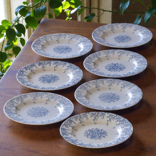 Set of 7 lovely antique Art Nouveau ironstone dessert plates from the late 19th century, stamped KG Lunéville, “Neva”...