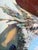 “Dinner Coming” an Osprey Painting by LWren Walraven For Sale - Image 10 of 10