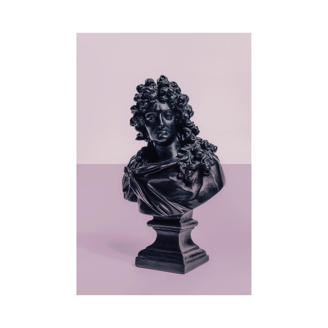 Guy Sargent, Louis XIV Pink, Archival Pigment Print For Sale - Image 4 of 6