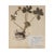 1940s Vintage Swedish Herbarium - Globeflower, Circa 1947 For Sale - Image 5 of 5