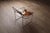 Rare Filo lounge chair model 203, designed by French artist and designer Odile Mir in 1971 and manufactured by Prisunic....