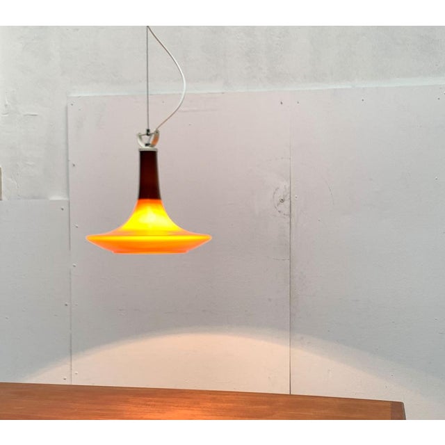 Mid-Century Tulip Glass Pendant Lamp from Peill & Putzler, 1960s For Sale - Image 13 of 18