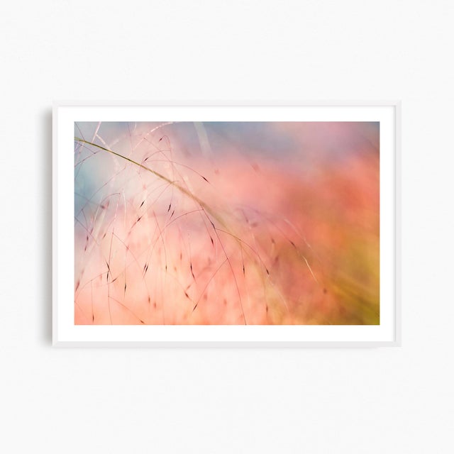 Not Yet Made - Made To Order 'In the Pink' Set of Botanical Photographs, Set of Four 36 X 24" Fine Art Photography Prints For Sale - Image 5 of 11