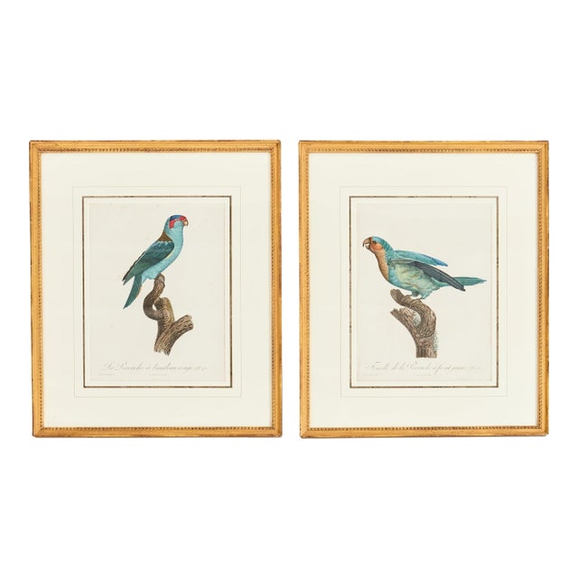 Pair Jacques Barraband Hand Colored Ornithological Bird Prints For Sale