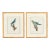 Pair Jacques Barraband Hand Colored Ornithological Bird Prints For Sale