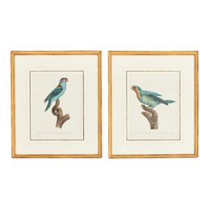 Pair Jacques Barraband Hand Colored Ornithological Bird Prints