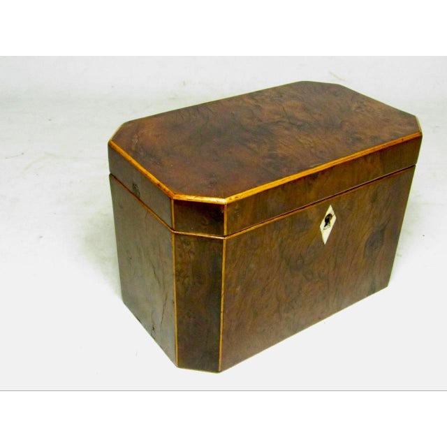 18th Century English Burr Yew Wood Tea Caddy For Sale - Image 17 of 17