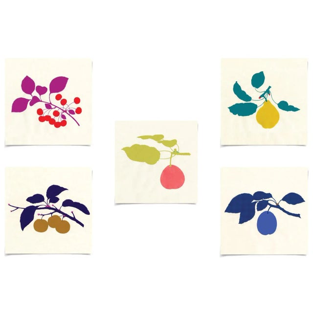 Paper Bright Pomona Fruit, Unframed Artwork - Set Of 5 For Sale - Image 7 of 7