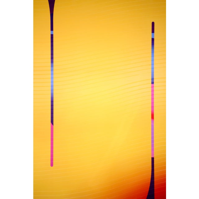 Contemporary Abstract Matte Gel Applied on Fine Art Digital Printed Canvas "Bouton D’or Alizarine Zinzolin # Cosmopolitain" by Jerome Tham Vo My For Sale - Image 6 of 7