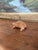 Folk Art Hand-Carved Mid-20th Century Wooden Frog Sculpture With Incised Detailing For Sale - Image 3 of 10
