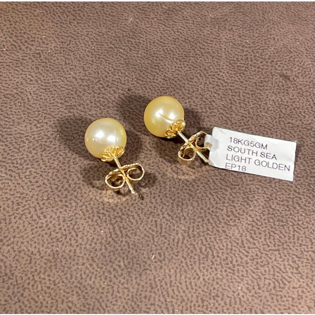 Golden South Sea Pearl Stud Earrings 18 Karat Yellow Gold For Sale In New York - Image 6 of 8