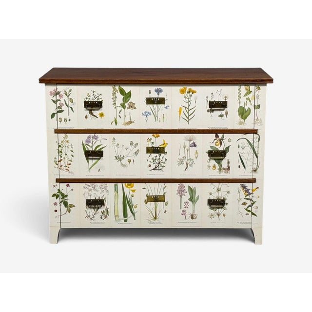Swedish Modern, Nordens Flora Dresser, Brass, Floral Lithographs, Sweden, 1930s For Sale In New York - Image 6 of 14