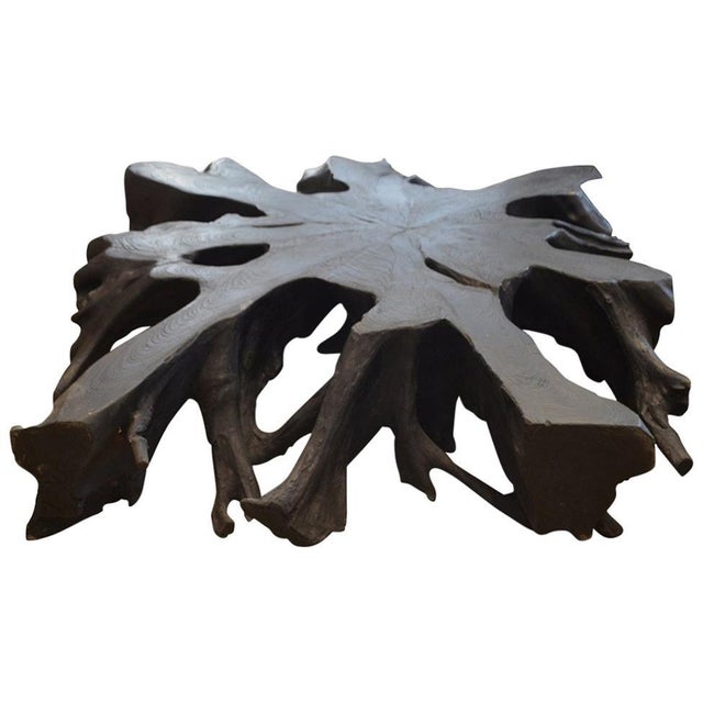 Impressive teak root art to hang on the wall or low Minimalist coffee table. hand-carved from a single 11" thick piece of...